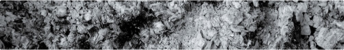 科學基礎減碳目標(SBT)符合聯合國氣候變化協議(巴黎協定)要求。設立此類目標的企業更具抗風險能力,也能展現國際永續責任。